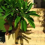 Petra Apart-hotel Hersonissos (Crete)