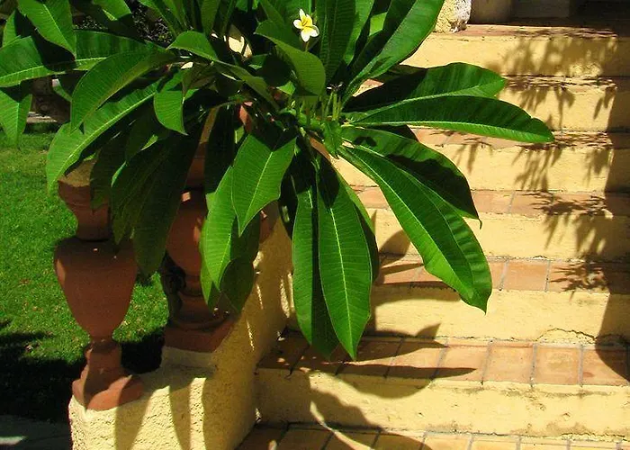 Petra Aparthotel Hersonissos (Crete)